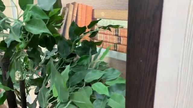 Прихожая "Ксения-2" смотреть онлайн