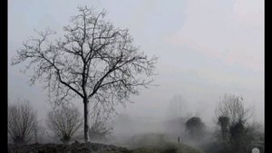 Еврейская колыбельная .