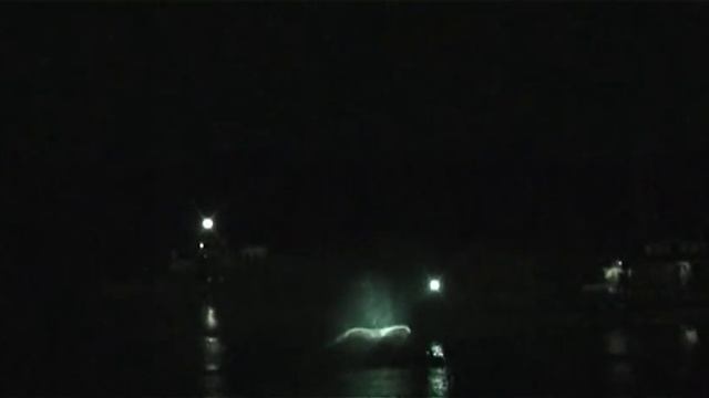 Проекционное шоу на водном веерном экране