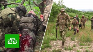 Как добровольцы в Новороссийске тренируются перед отправкой на передовую | «ЦТ»