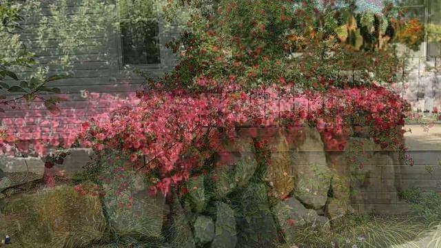 Бриллианты смотреть онлайн