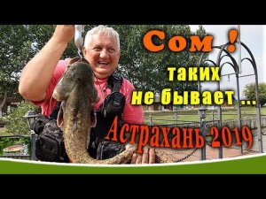 Хороший сом на лягушку. Рыбалка Астрахань 2019. База Фортуна.