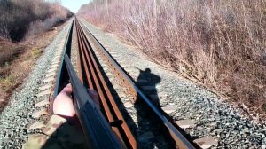 охота на зайца . заяц железнодорожник