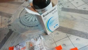 Как лечить пневмонию у красноухой черепахи. Черепаха не ест открывает рот