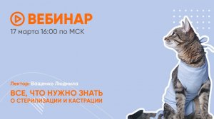 Все, что нужно знать о кастрации и стерилизации кошек. Вебинар Школы «Хвост Ньюс»