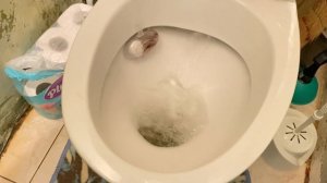 Зачем покупать дорогие блоки/шарики для унитаза, если можно сделать бюджетный вариант