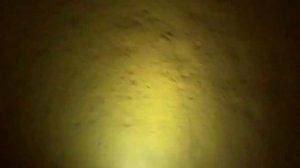 Водолазные работы поиск квадрокоптера