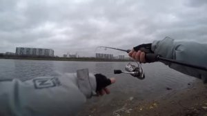 Отводной поводок на Москва - Реке. Место Вихрова. Ловля Окуня(Марьино-Братеево)