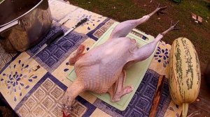 Индейка - ощип, потрошение, разделка. 12+ //Из города в деревню