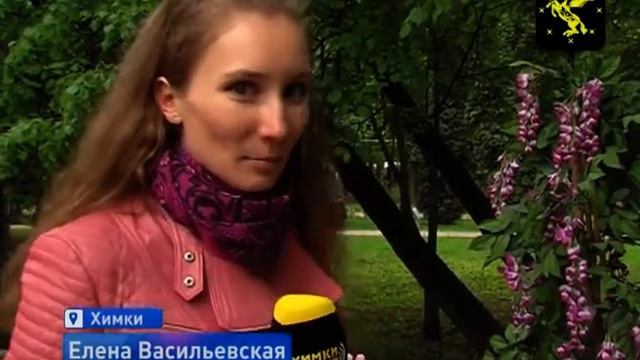 В парке Толстого прошел праздник «Литературные аллеи» смотреть онлайн