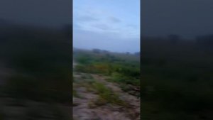 Сплав  Почекуйка- Тромъеган - Обь до Сургута на байдарке Шуя 2.