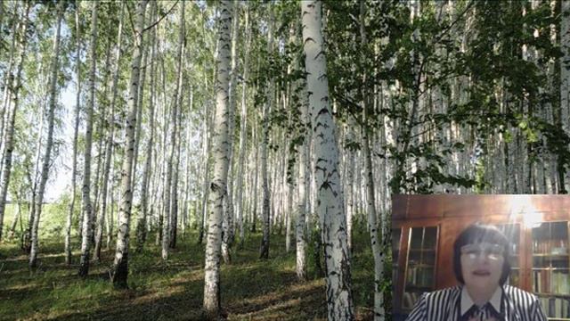 Поёт Лариса Балагуто Берёза белая подруга смотреть онлайн