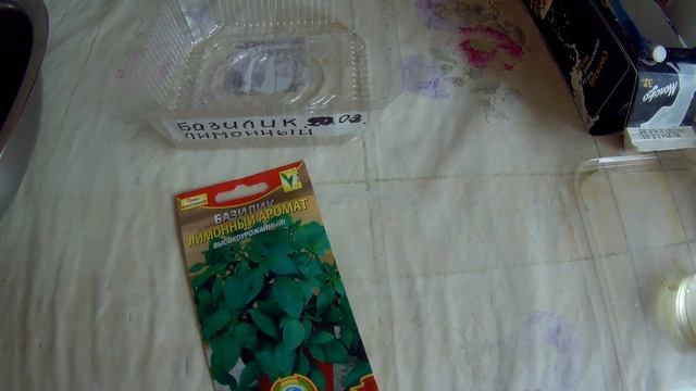 Базилик выращивание и уход дача под Архангельском смотреть онлайн