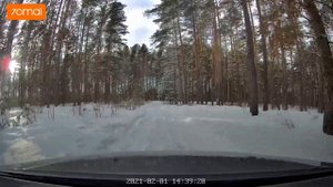 Тест зимней резины Bridgestone LM005 по заснеженному лесу