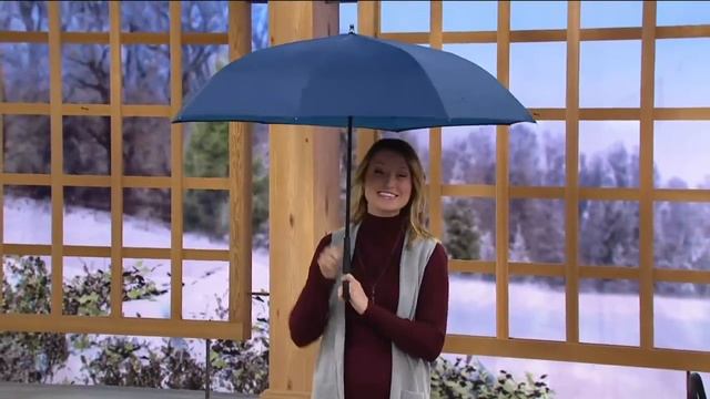 Умный зонт Наоборот смотреть онлайн