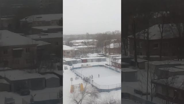 Семья на прогулке, Хабаровск