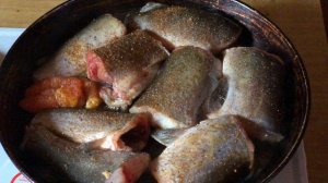 Канадский сомик с икрой, жареный!