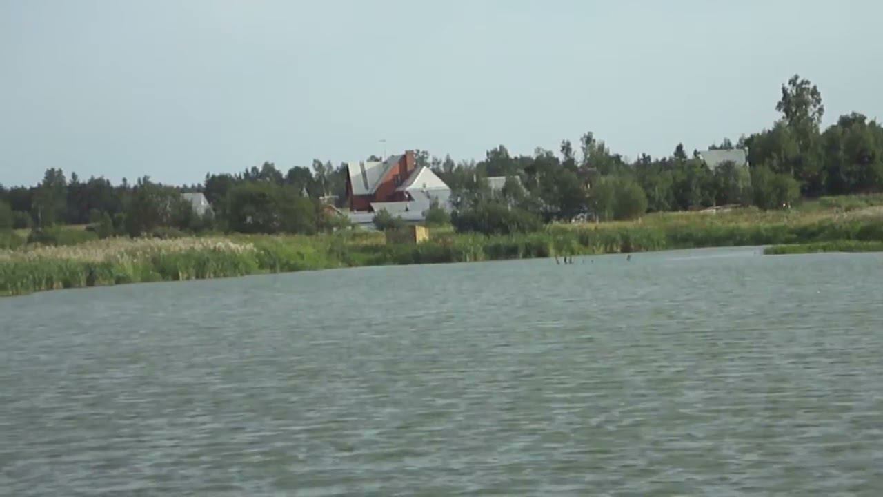 Пруд в посёлке Софрино (26.07.11)