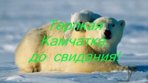 Терпкая  Камчатка , до  свидания !!!