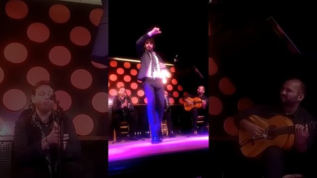 Flamenco dance in Barcelona 2017 -Tarantos смотреть онлайн