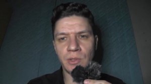 АСМР/Возвращение/Тихий шепот/Мужской АСМР