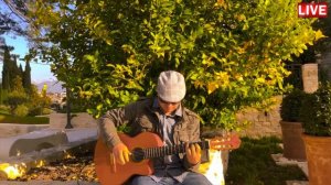 "Lemon Tree" under the lemon tree) - #fingerstyle guitar cover #musicoftheday #songforlife #poprock