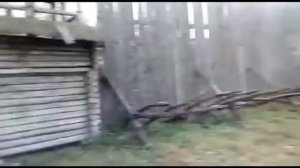 Достопримечательности Орла  Богатырская застава