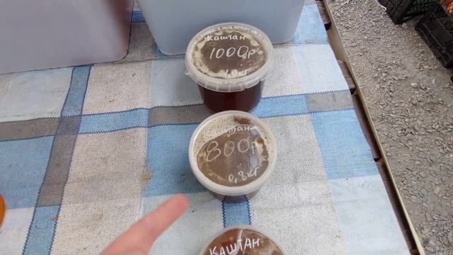ЦЕНЫ В СОЧИ! ВЫГОДНО ЛИ покупать продукты на фермерском рынке в Дагомысе? Жизнь в Сочи. 18+