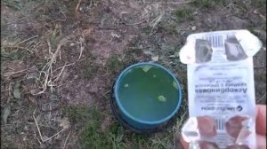 БРОЙЛЕРЫ! КАК ПОИТЬ птицу ,чтобы она росла как на дрожжах!