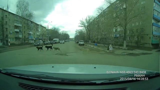 Грамотные пешеходы смотреть онлайн