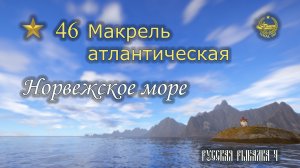 ✮ Норвежское море ✮ Макрель атлантическая ✮