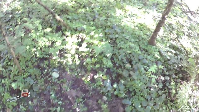 АКА Сигнум и АКА Сорекс Про - поиск кладов в старинном лесу / коп в лесу / кладоискатель / коп смотреть онлайн