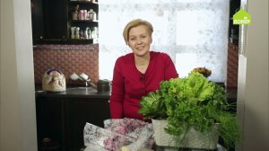 Как хранить зелень в горшочке. Свежая зелень после покупки — это РЕАЛЬНО. Советы и хитрости
