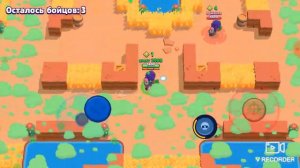 играю в бравл старс купил розу