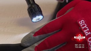 Обработка от клопов. Профессиональный видеообзор.