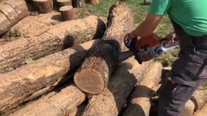 Stihl MS 241 C-M 35 cm picco 1,3mm stock