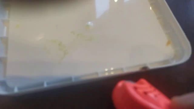 Тест ультразвукового отпугивателя клещей смотреть онлайн