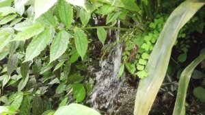 Расслабься на час! ? Музыка для снятия стресса, которая поможет вам расслабиться