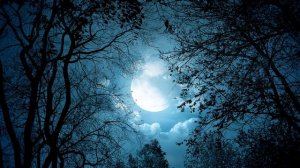 Neoclubber, Serge Nova - Забудь ( 𝕊𝕝𝕠𝕨𝕖𝕕 )