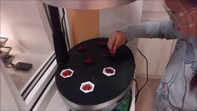 Научная работа сабины ИТОГ смотреть онлайн