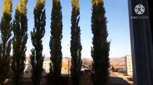 #пирамидальныйтополь Пирамидальные тополя в Башкирии.