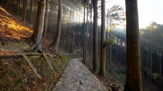 15. Национальный парк Лушань. Китай смотреть онлайн