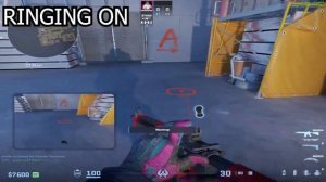 Отключения писка после ослепления от флешки в CS2