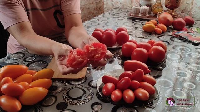 Дегустация томатов. Первоклашка. Джек Пот. Русские колокола. Видимо-невидимо. смотреть онлайн