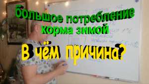 Большое потребление корма пчелами зимой. В чем причина.