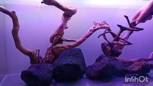 Перезапуск аквариума. Новый проект. Акваскейп. Медленный травник.