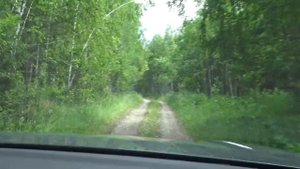 Чусовая, Старые Харёнки