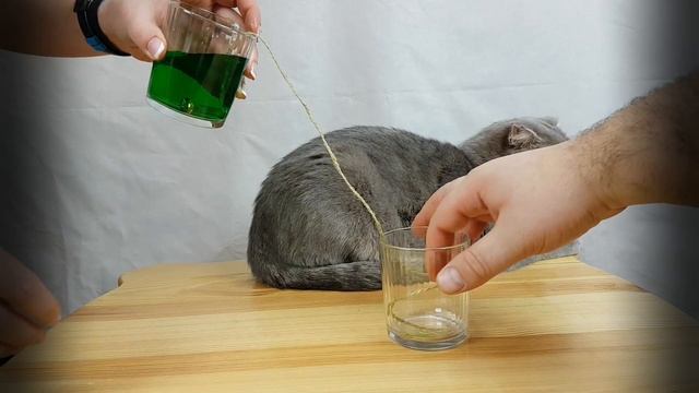 ? КАК перелить ВОДУ ПО НИТКЕ/ Эксперименты и опыты дома#Let's Do It смотреть онлайн