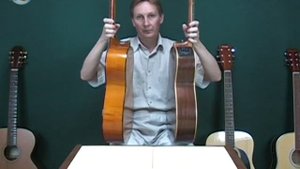 Выбор гитары: виды гитар и свойства 2/2