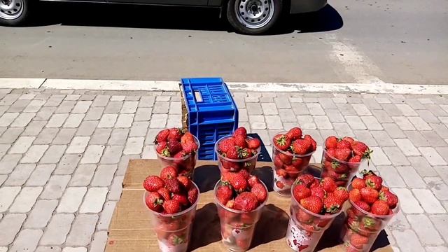 СОЛЬ ИЛЕЦК 2021. ТОРГОВЫЕ РЯДЫ, РЫНОК, ЦЕНЫ НА МЕСТНЫЕ ЯГОДЫ смотреть онлайн